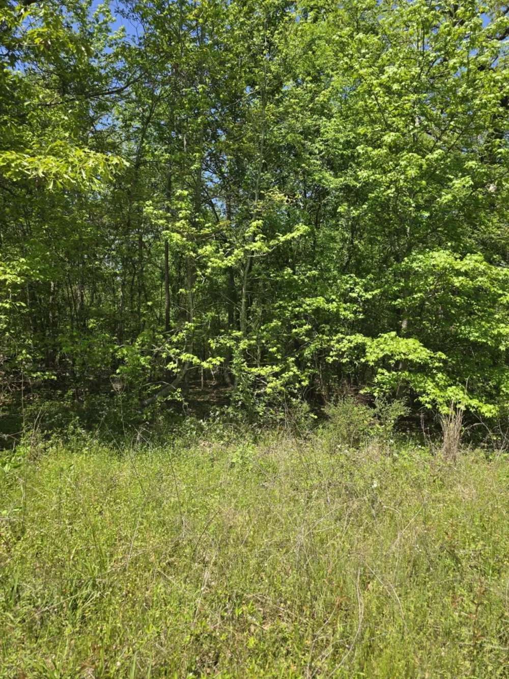 County Road 421 Tyler, TX 75704