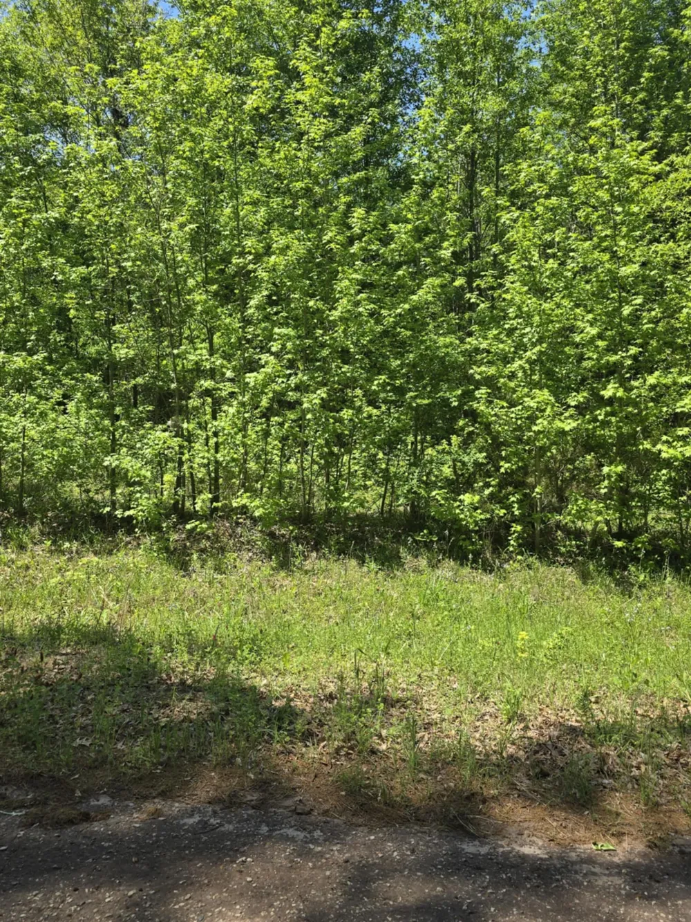 County Road 421 Tyler, TX 75704