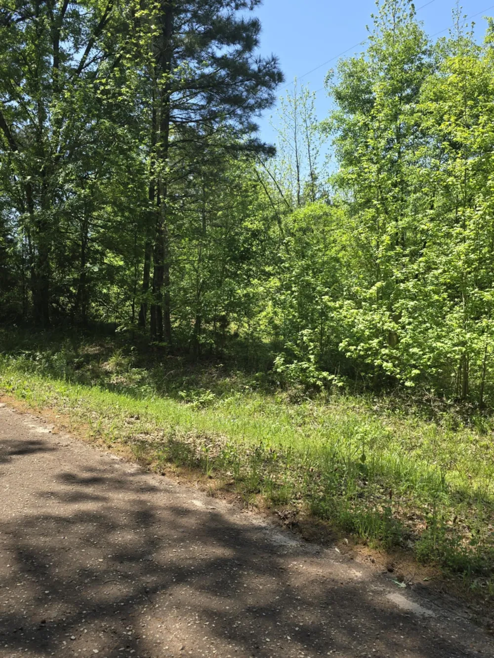 County Road 421 Tyler, TX 75704