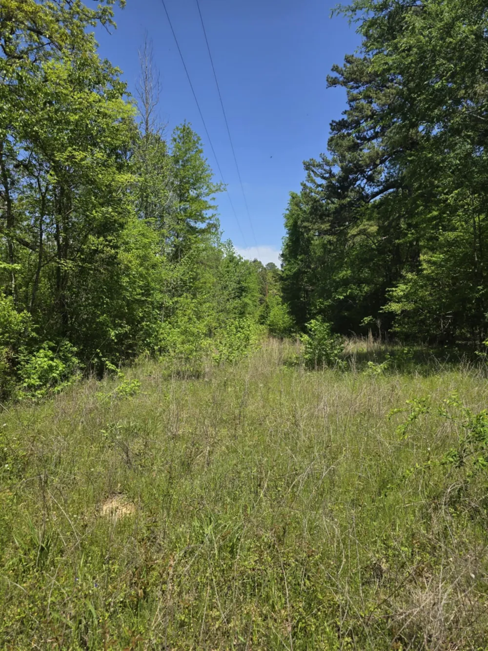 County Road 421 Tyler, TX 75704