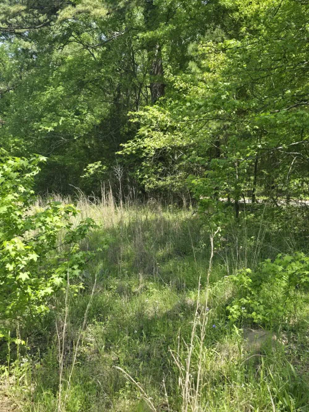 County Road 421 Tyler, TX 75704