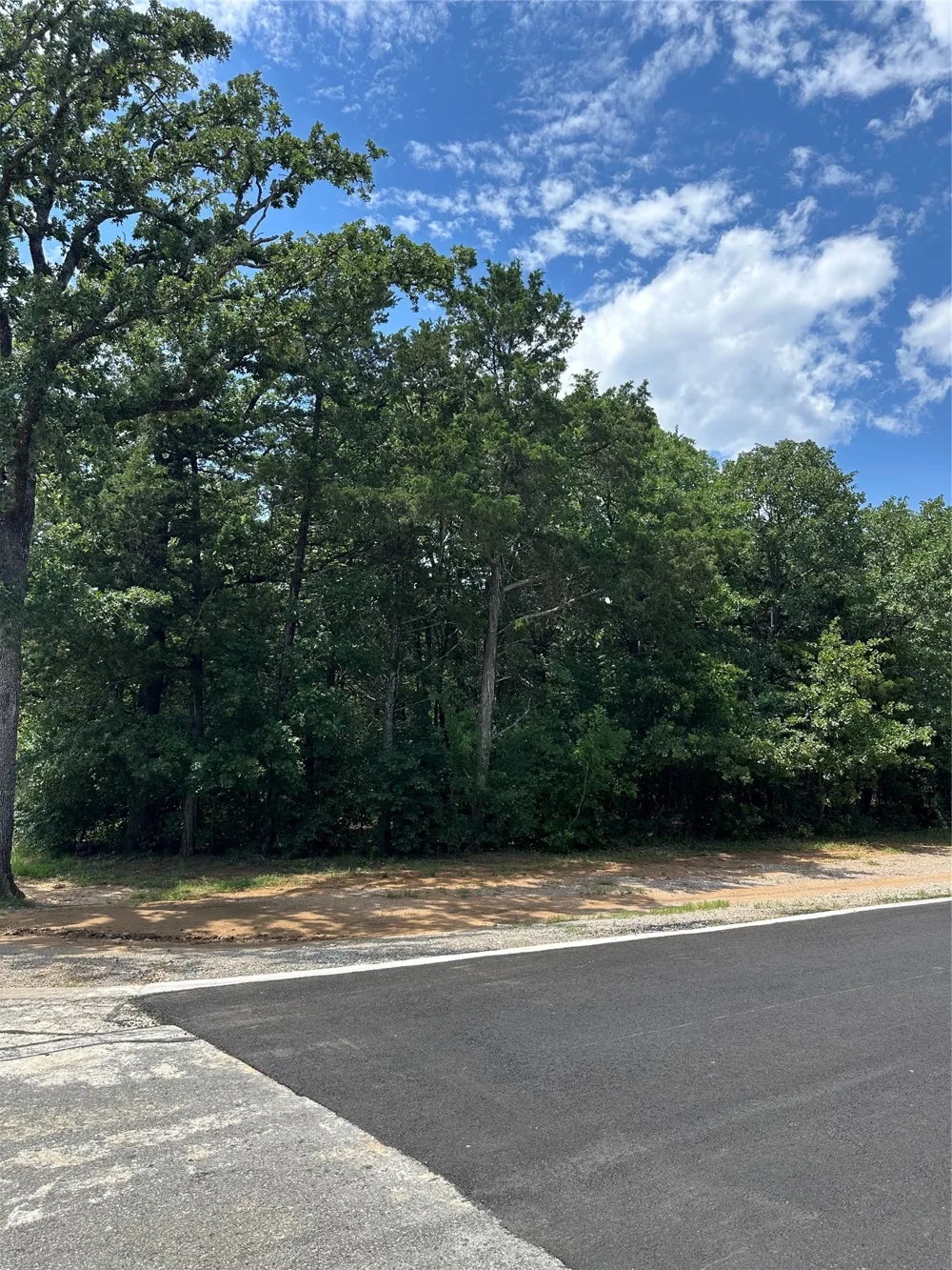 13 Castle Gordonville, TX 76245