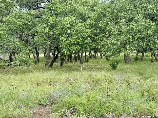 34781 High Gate Bulverde, TX 78163