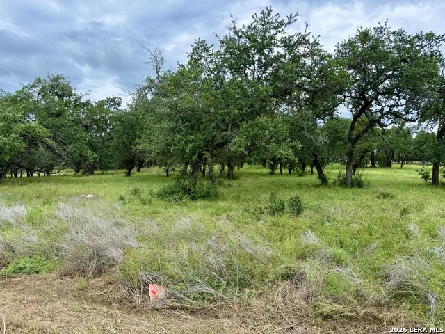 34781 High Gate Bulverde, TX 78163