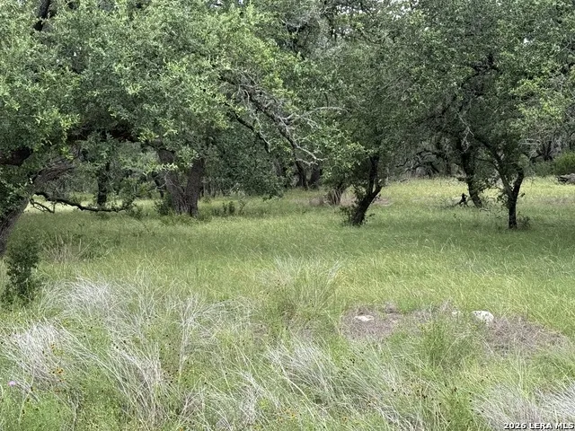 34781 High Gate Bulverde, TX 78163