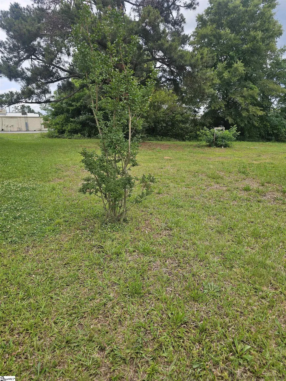 201/203 Dillon Drive Clinton, SC 29325
