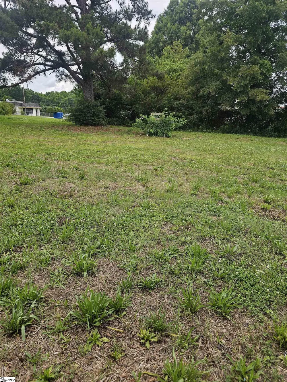201/203 Dillon Drive Clinton, SC 29325