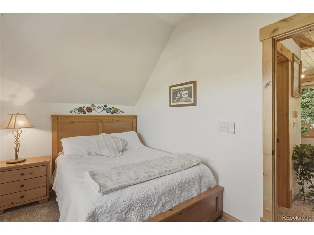 237 Rio Grande Drive South Fork, CO 81154
