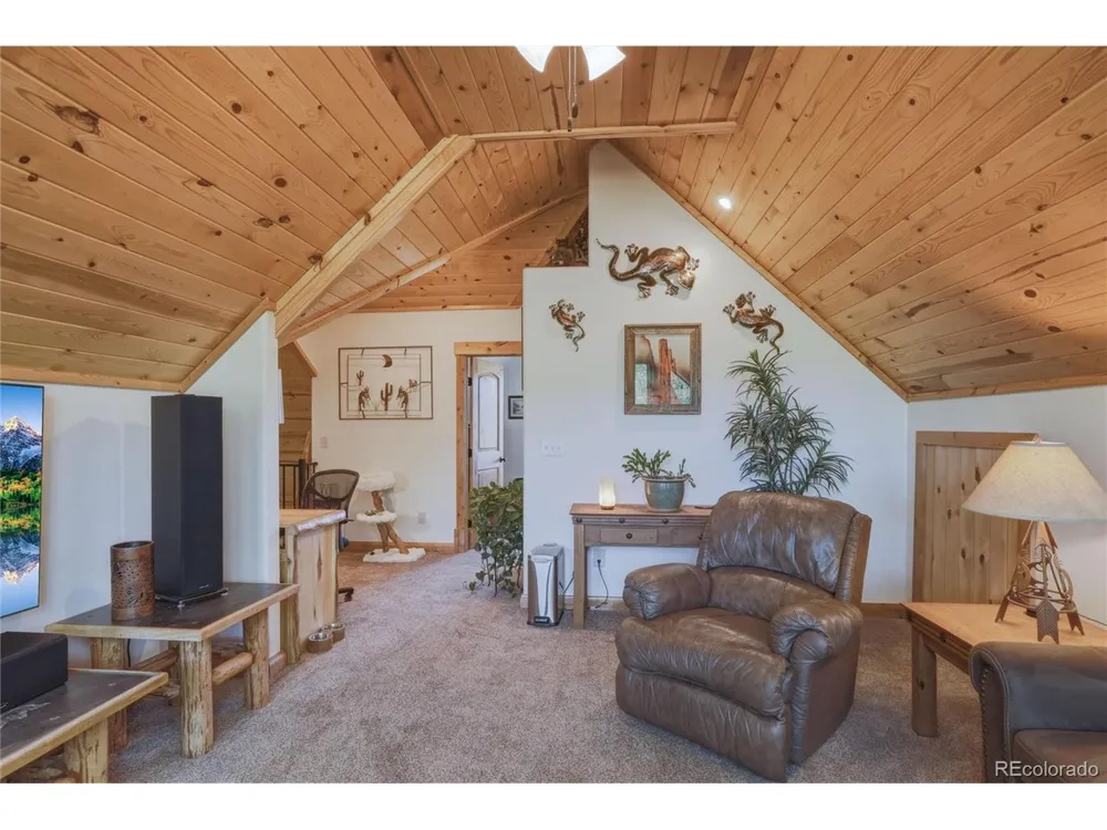237 Rio Grande Drive South Fork, CO 81154