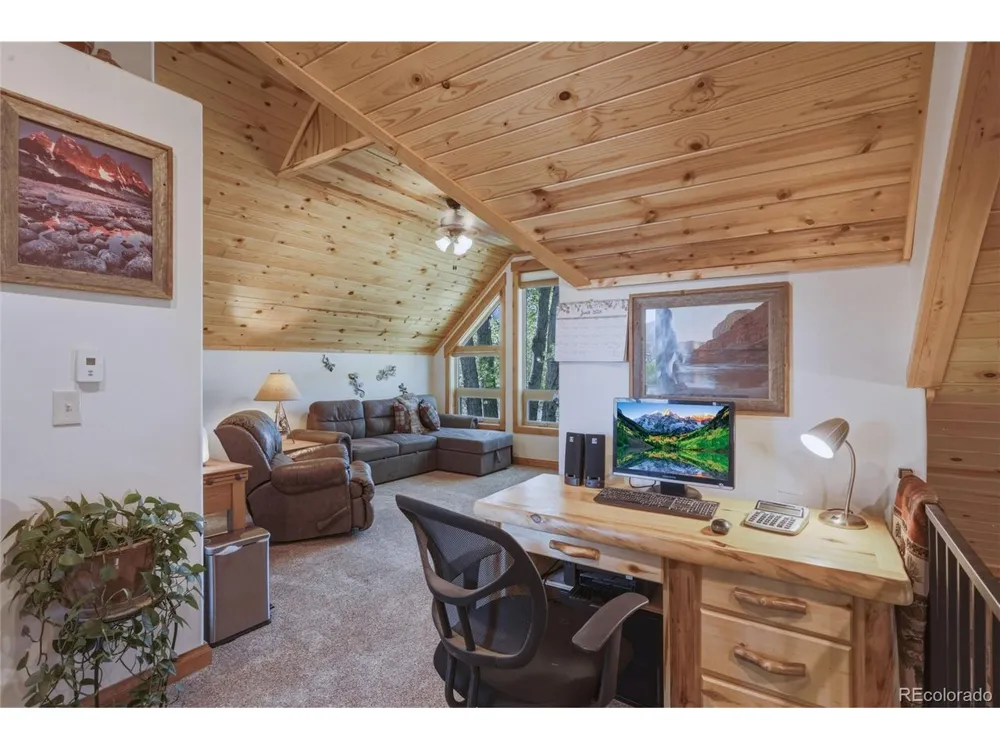 237 Rio Grande Drive South Fork, CO 81154