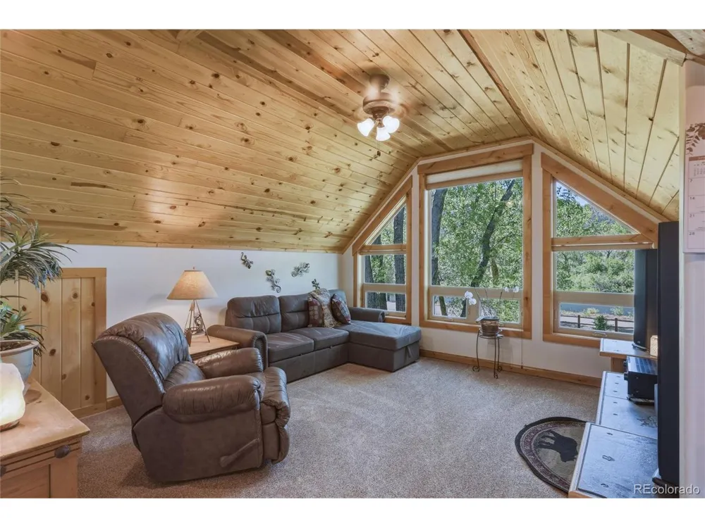 237 Rio Grande Drive South Fork, CO 81154