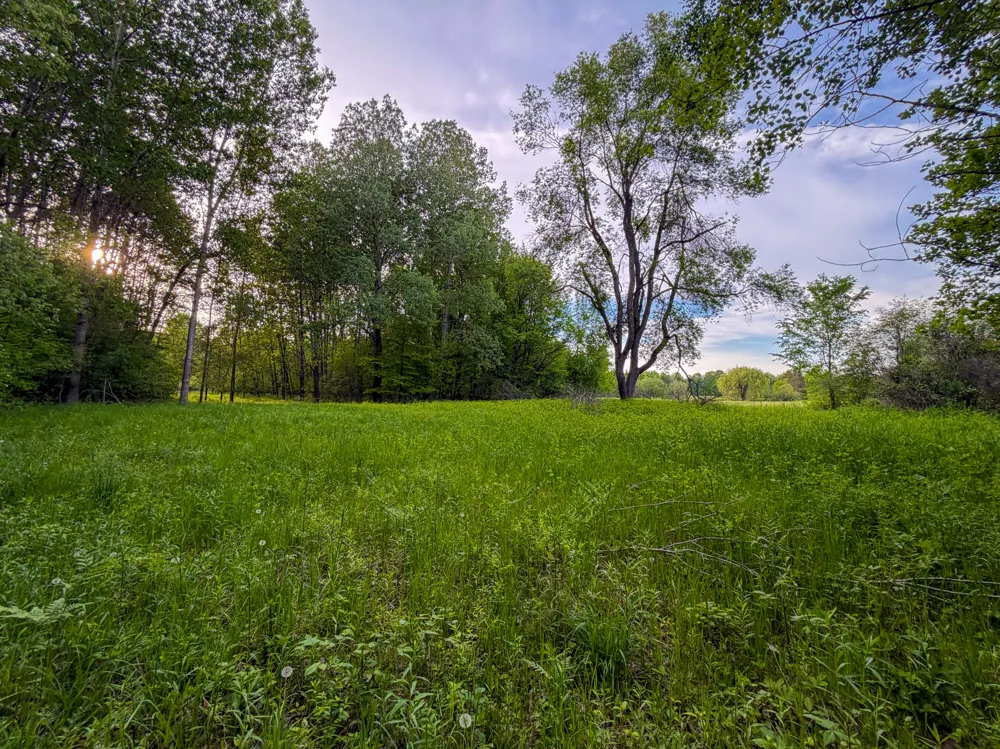 3091 E Sage Lake Lupton, MI 48635