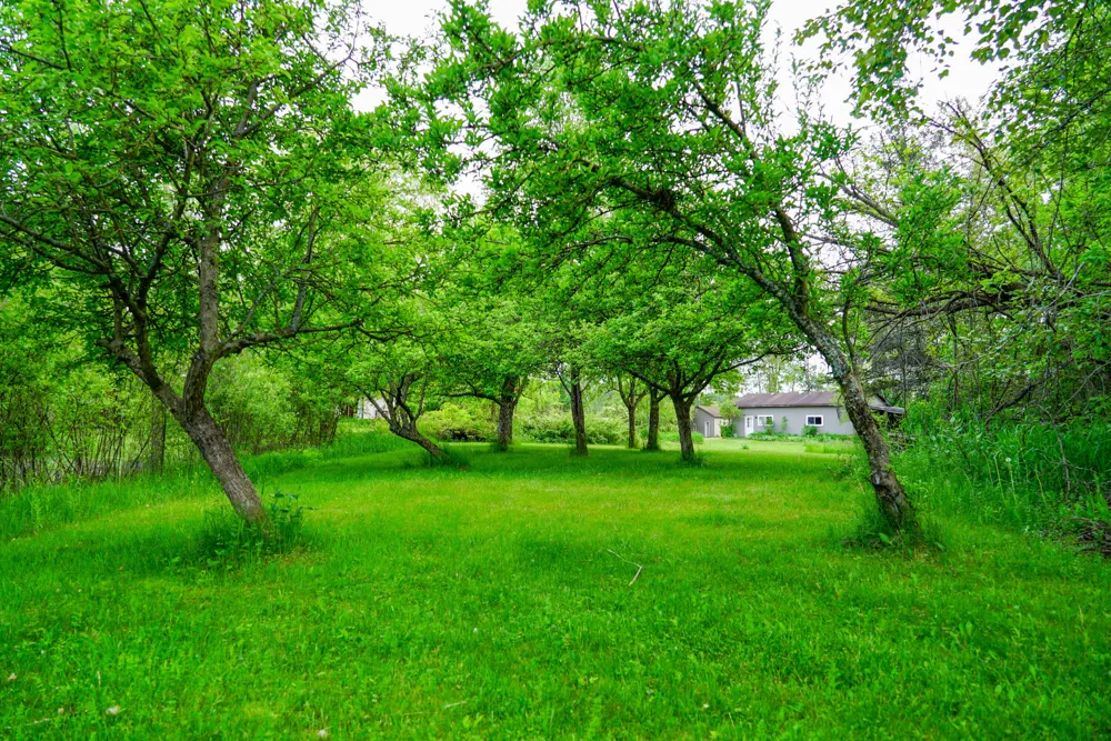 3091 E Sage Lake Lupton, MI 48635