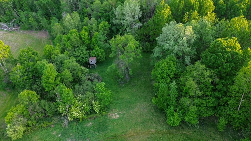 3091 E Sage Lake Lupton, MI 48635