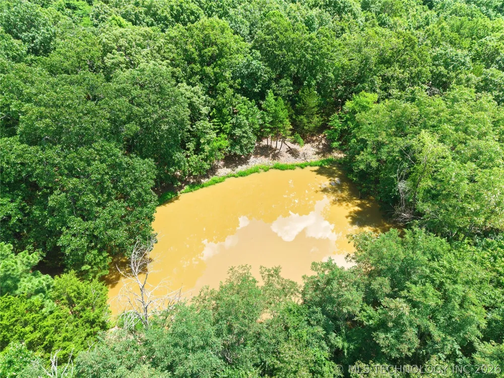 17350 S Highway 59 Lincoln, AR 72744