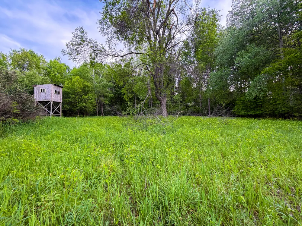 3091 E Sage Lake Hill Township, MI 48635
