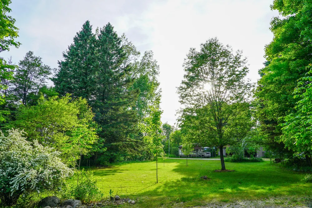 3091 E Sage Lake Hill Township, MI 48635