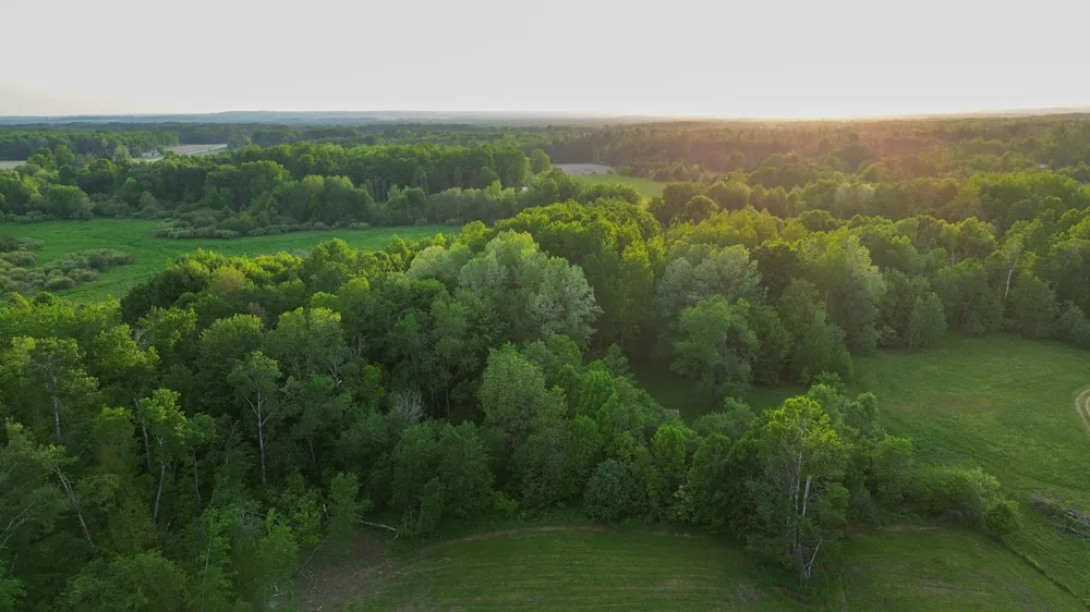 3091 E Sage Lake Hill Township, MI 48635