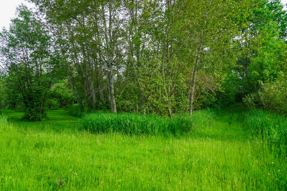 3091 E Sage Lake Hill Township, MI 48635