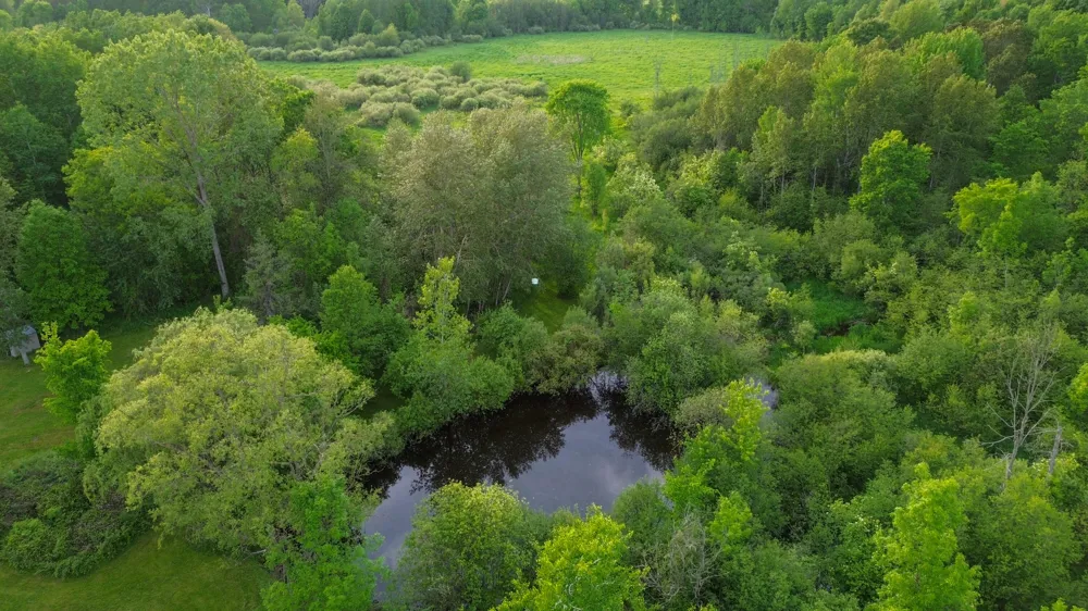 3091 E Sage Lake Hill Township, MI 48635