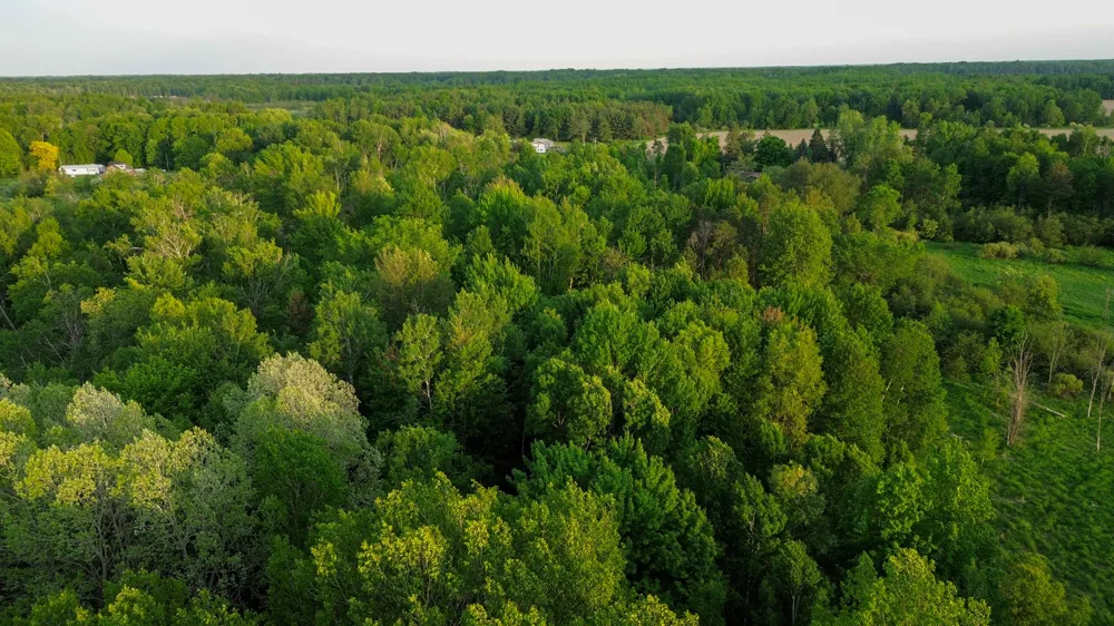3091 E Sage Lake Hill Township, MI 48635