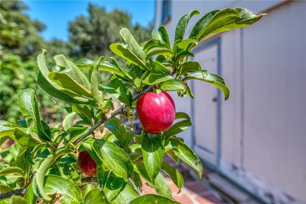 9175 Glenhaven Glenhaven, CA 95443