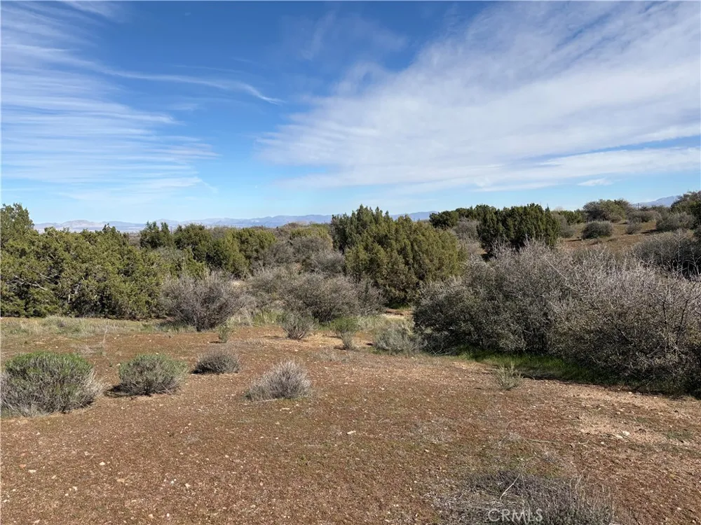 8350 Cedar Phelan, CA 92371