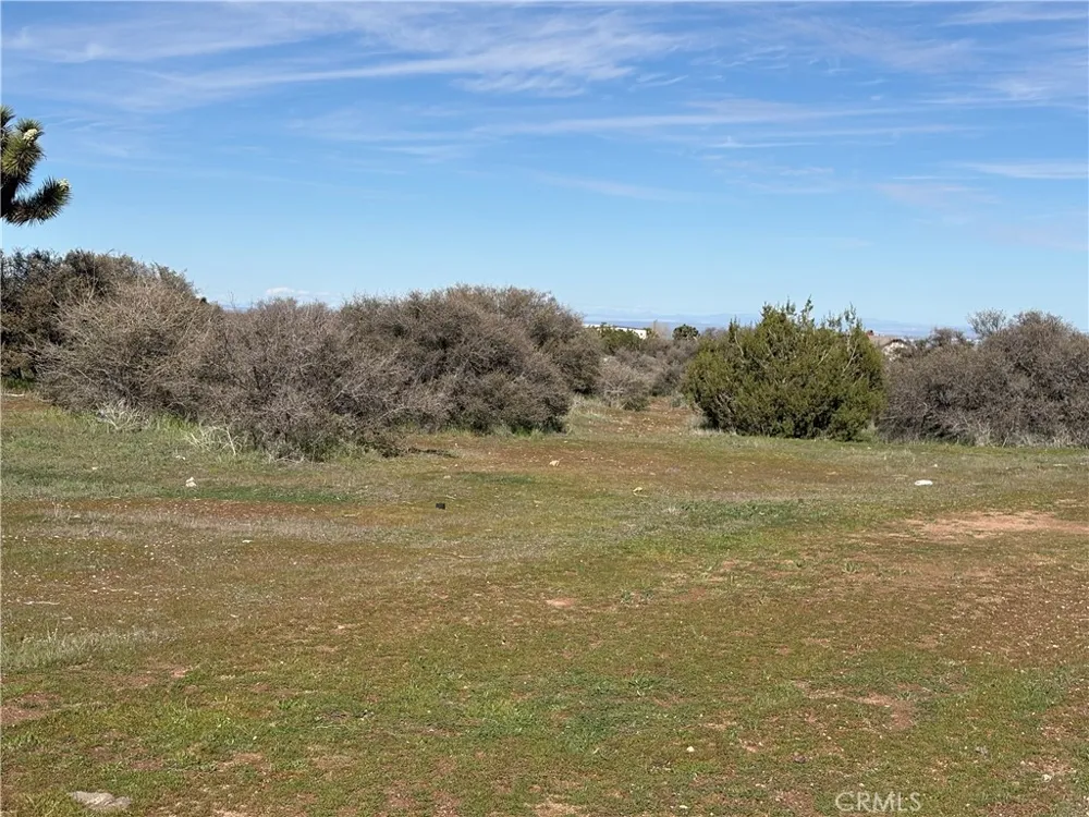 8350 Cedar Phelan, CA 92371
