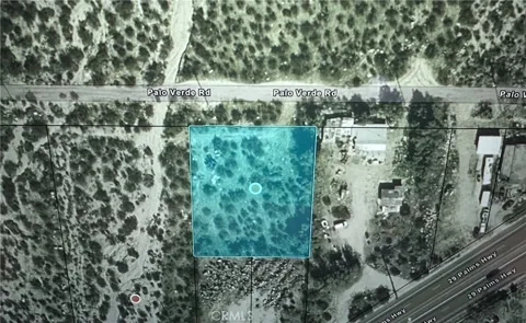 Palo Verde