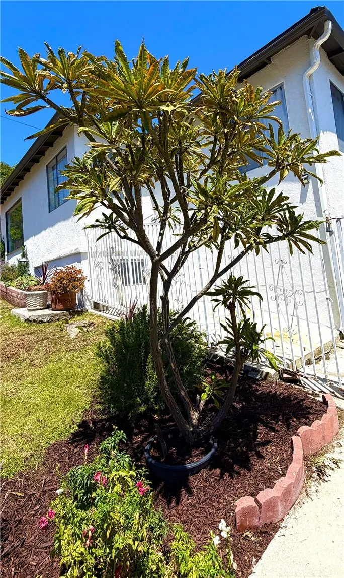 2012 Barnett Los Angeles, CA 90032