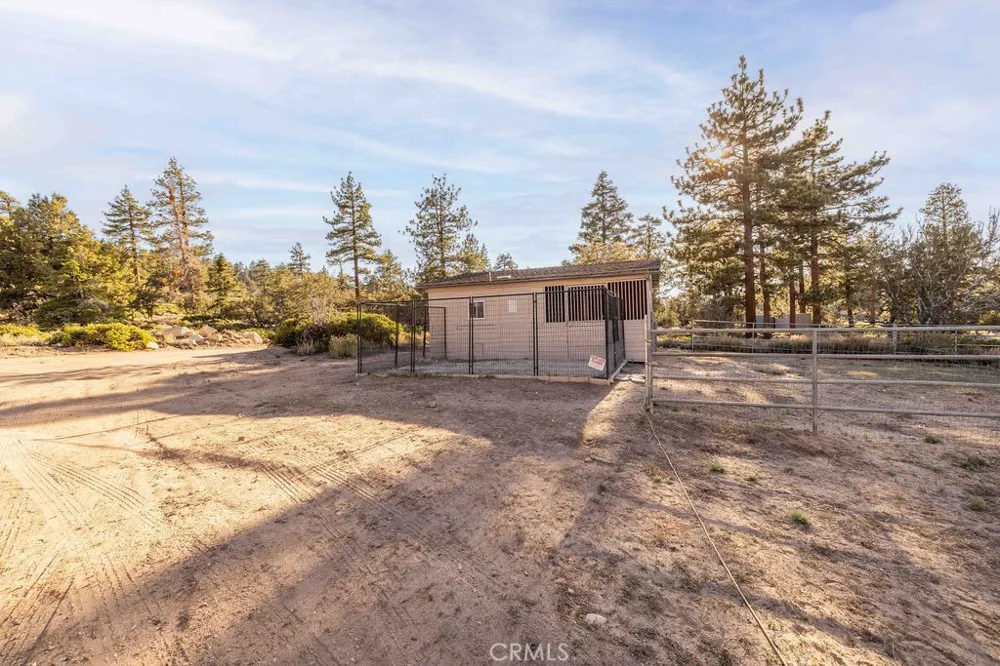 43942 Rainbow Lane Angelus Oaks, CA 92305