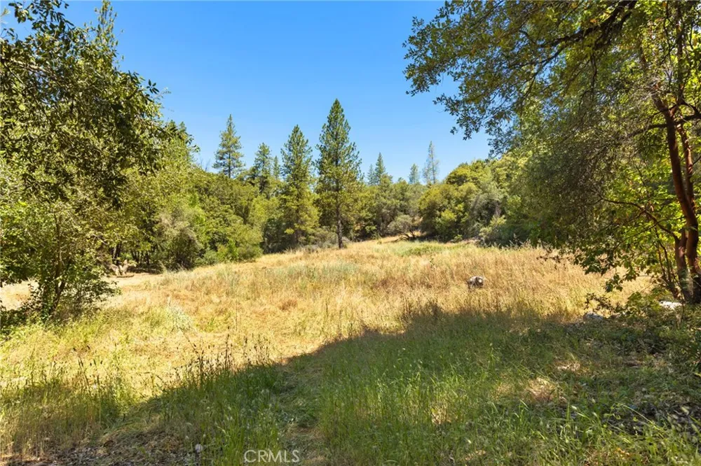 7859 Reed Lane Oroville, CA 95966