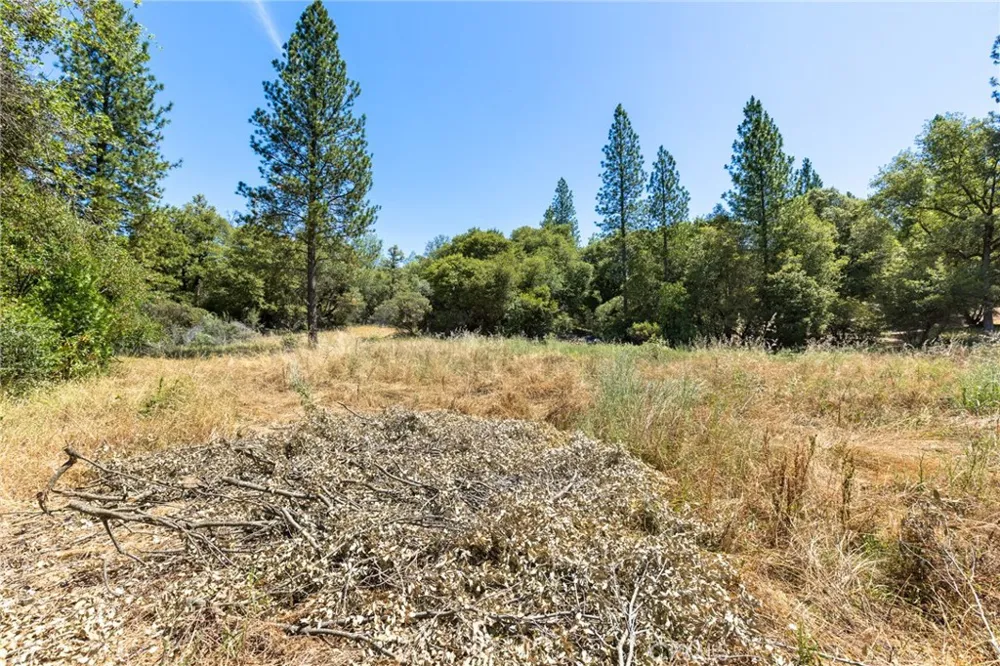 7859 Reed Lane Oroville, CA 95966