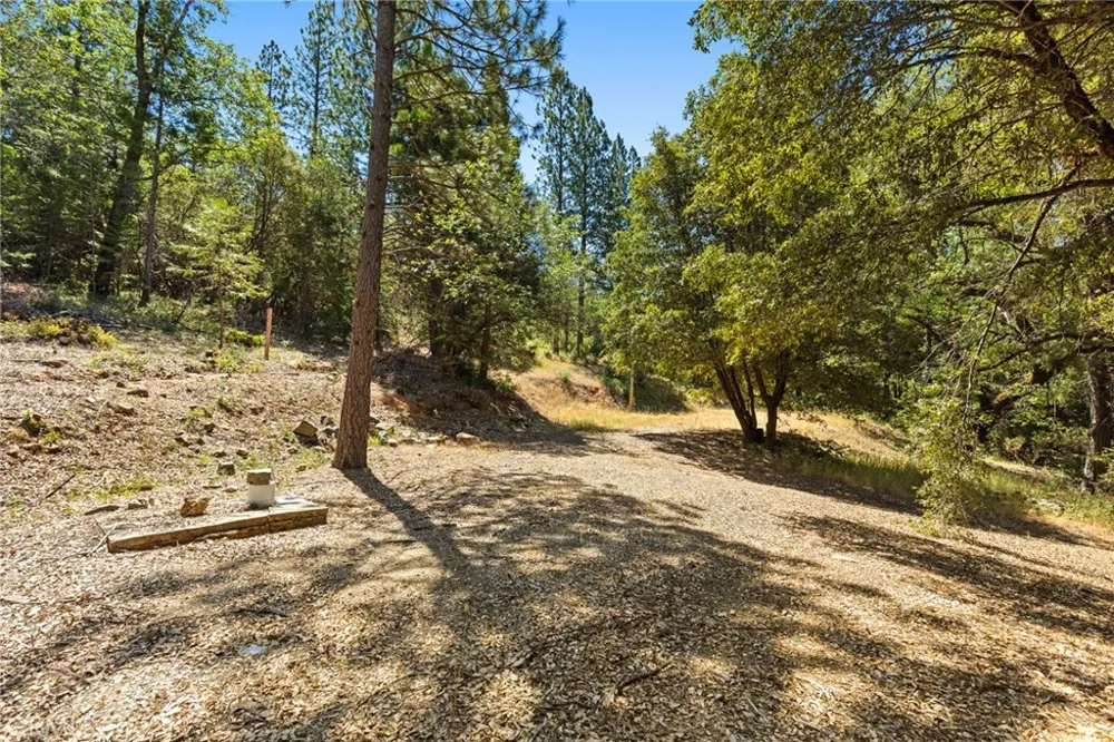 7859 Reed Lane Oroville, CA 95966
