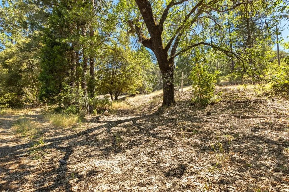 7859 Reed Lane Oroville, CA 95966