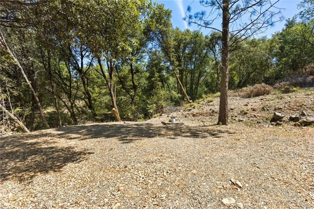 7859 Reed Lane Oroville, CA 95966