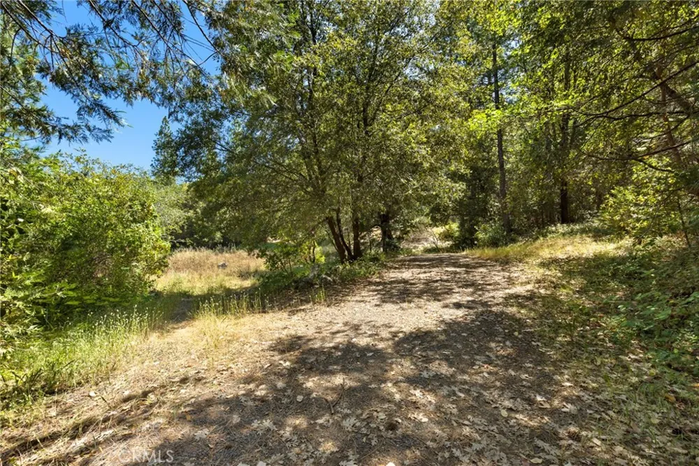 7859 Reed Lane Oroville, CA 95966