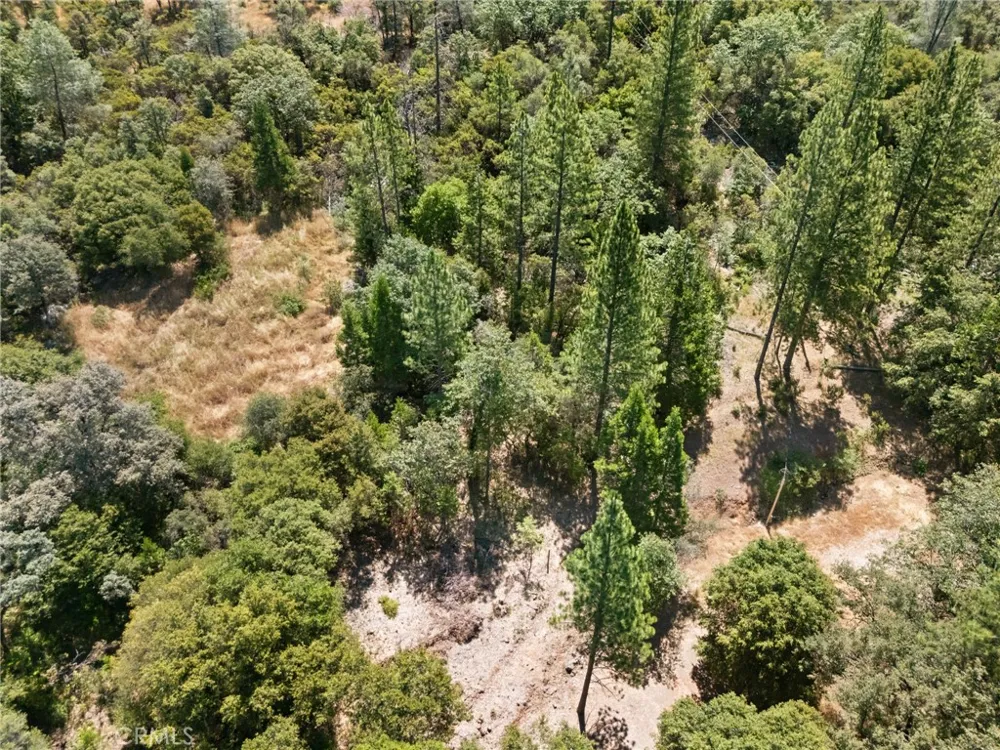 7859 Reed Lane Oroville, CA 95966