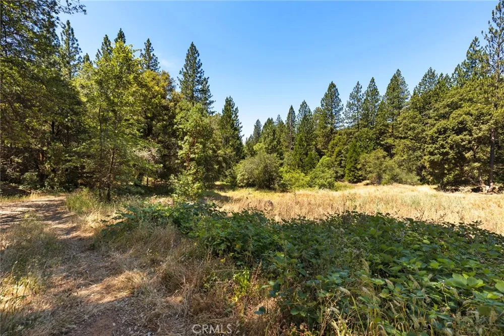 7859 Reed Lane Oroville, CA 95966