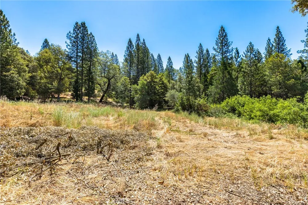 7859 Reed Lane Oroville, CA 95966