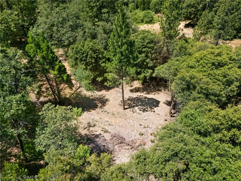 7859 Reed Lane Oroville, CA 95966
