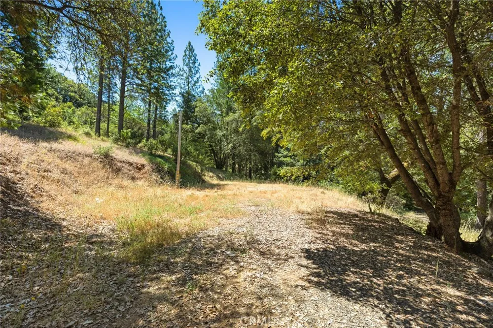 7859 Reed Lane Oroville, CA 95966