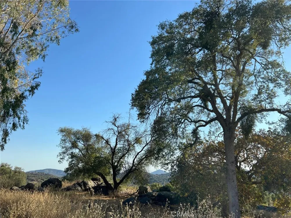46396 Redwing Squaw Valley, CA 93675