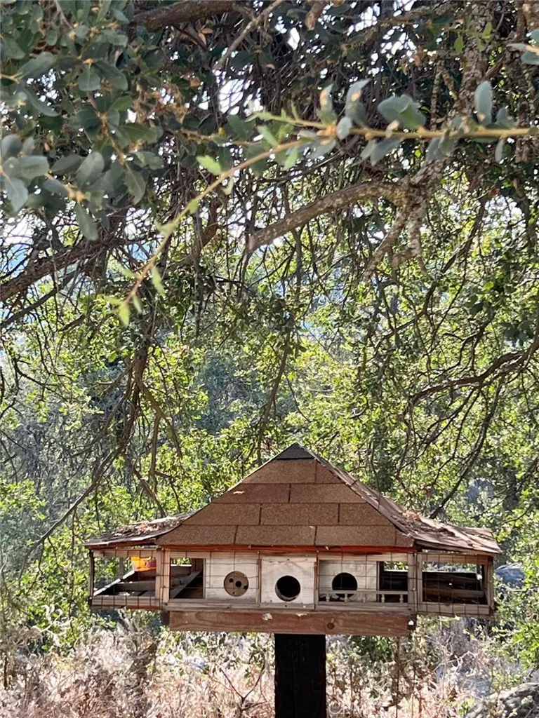 46396 Redwing Squaw Valley, CA 93675