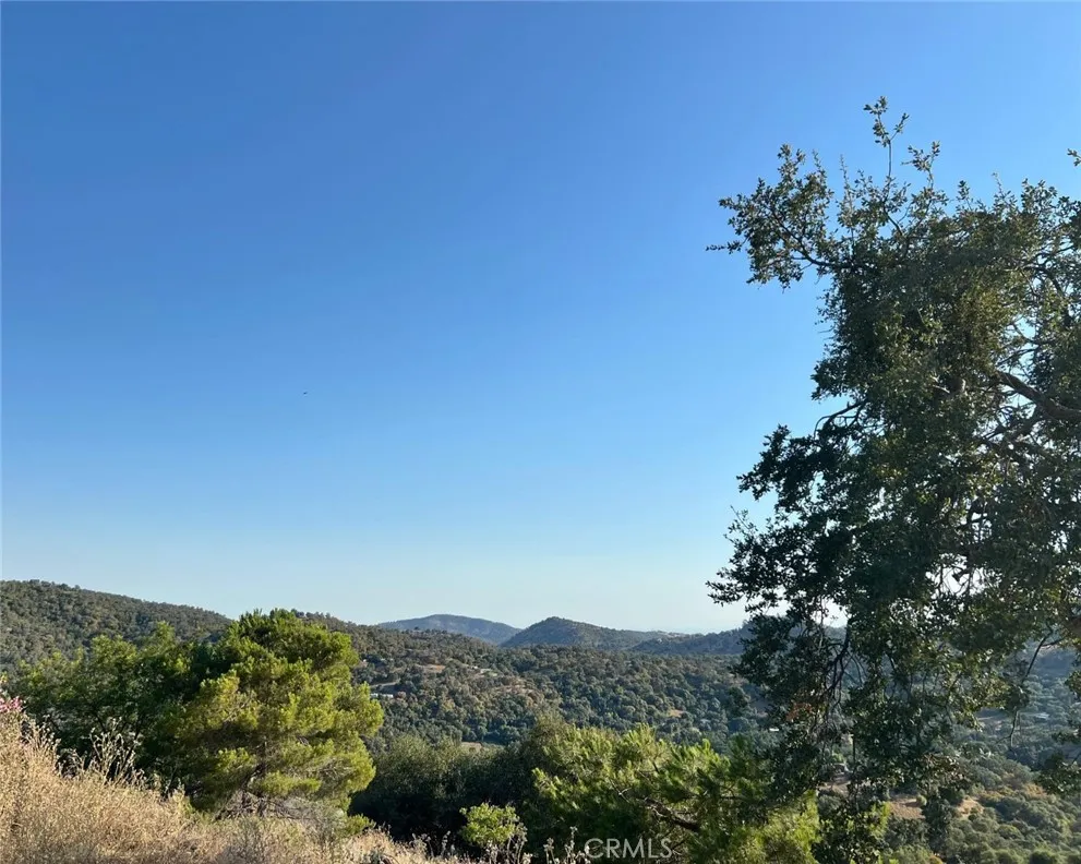46396 Redwing Squaw Valley, CA 93675