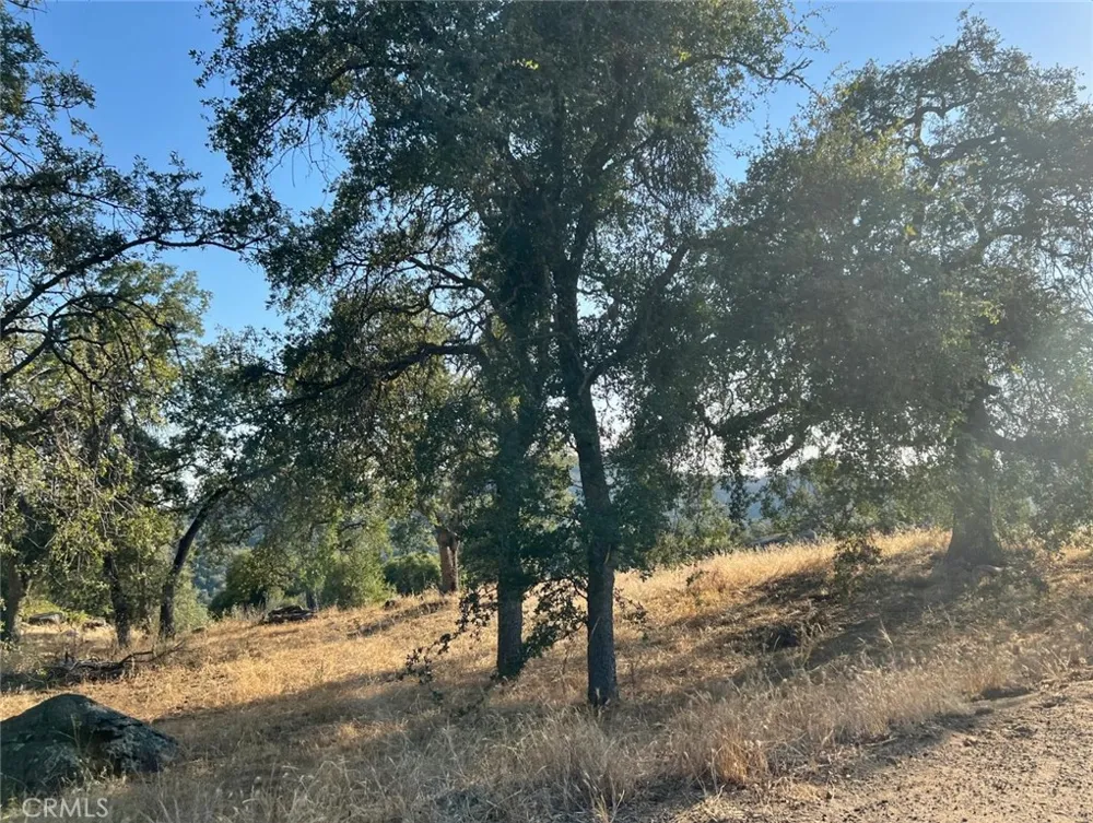 46396 Redwing Squaw Valley, CA 93675