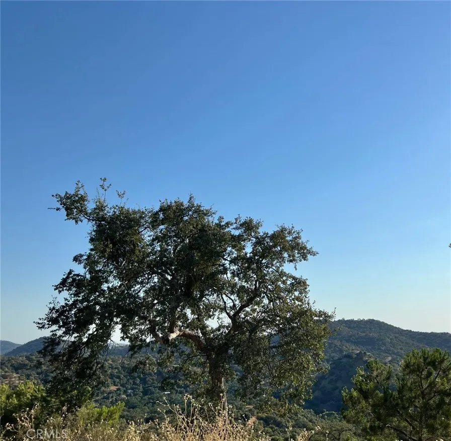 46396 Redwing Squaw Valley, CA 93675