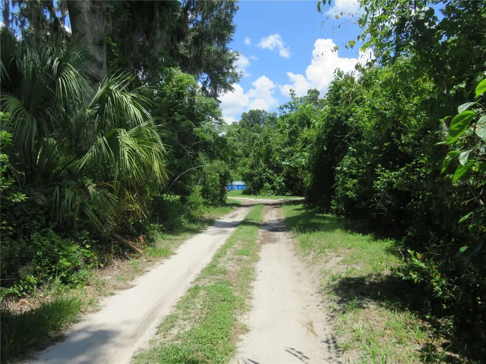 00 SE 142 PLACE Summerfield, FL 34491