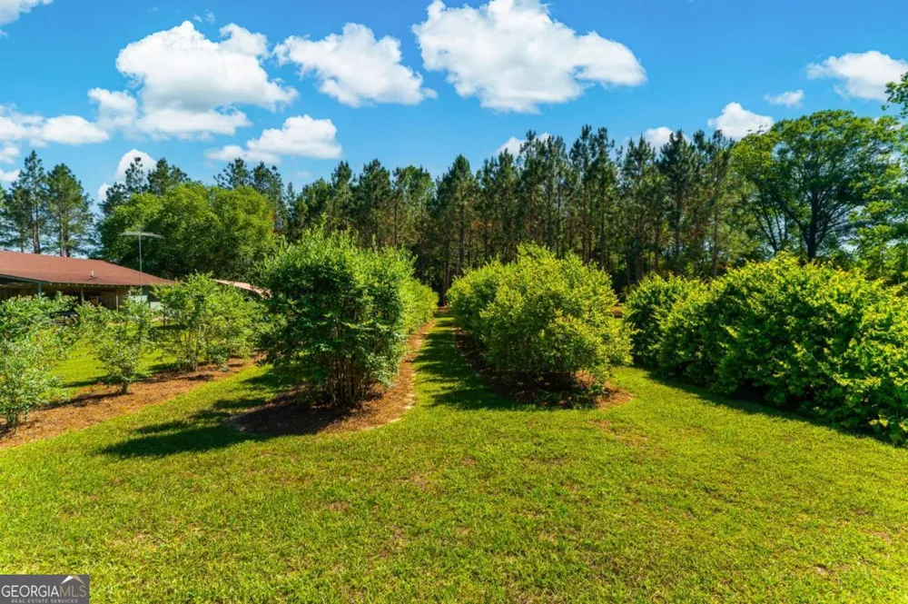 4236 S Newton RD Millen, GA 30442