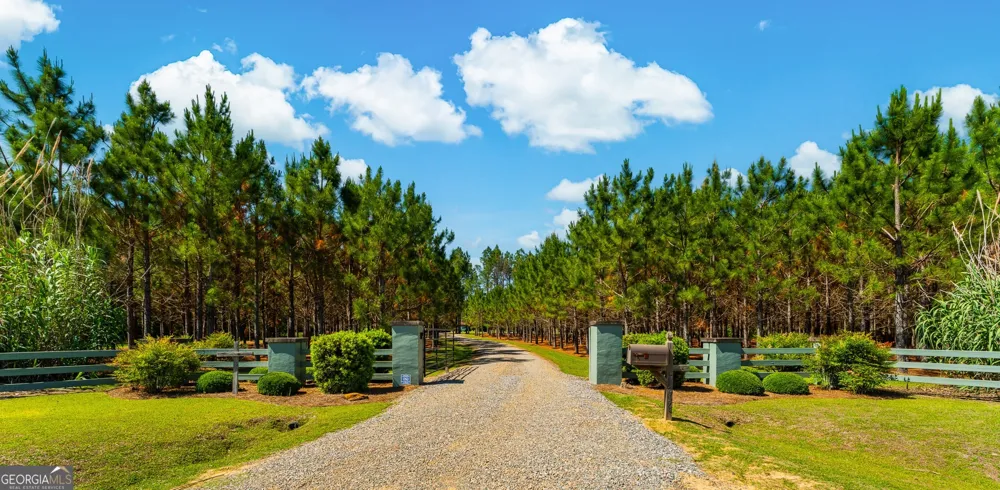 4236 S Newton RD Millen, GA 30442